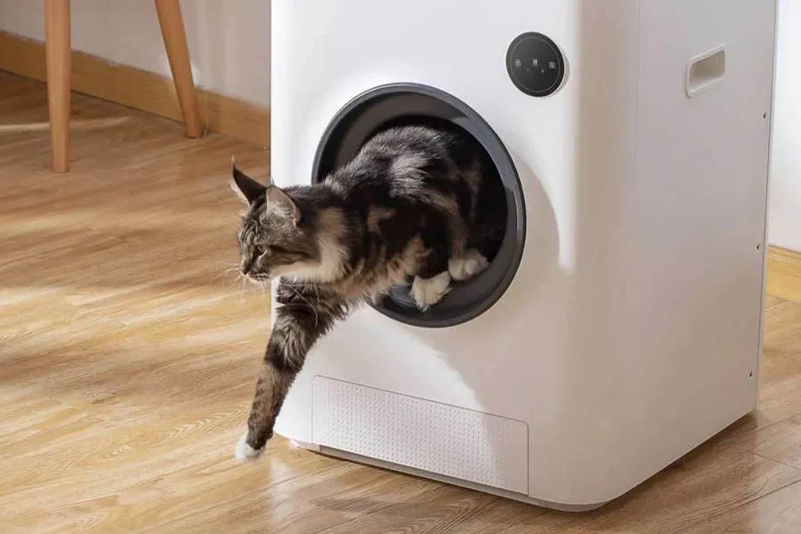 the best automatic cat litter box