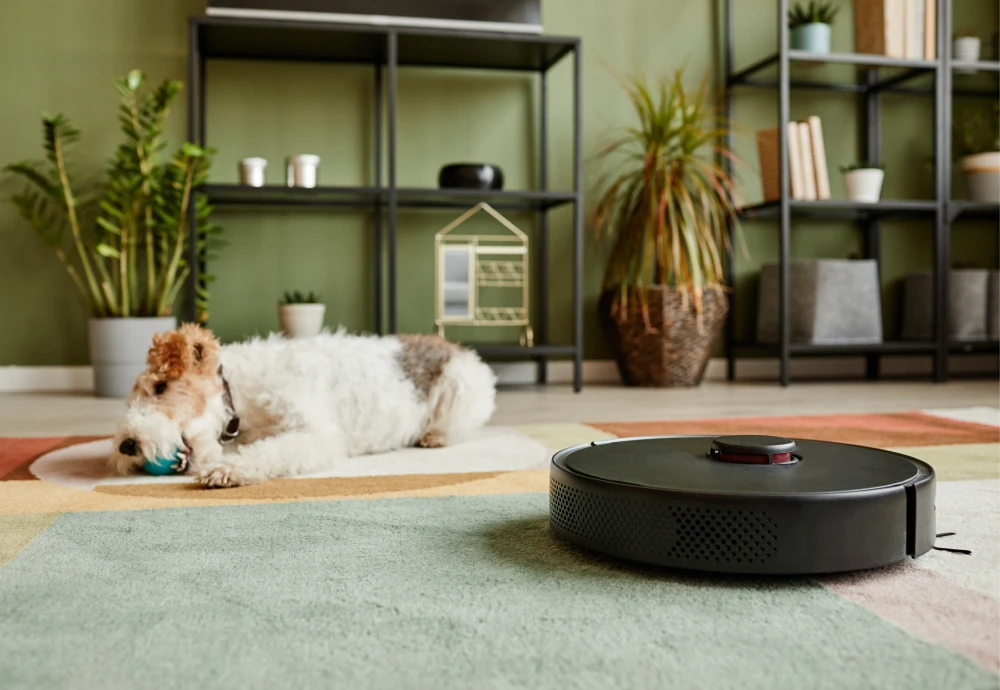 sweeping robot intelligent vacuum cleaner